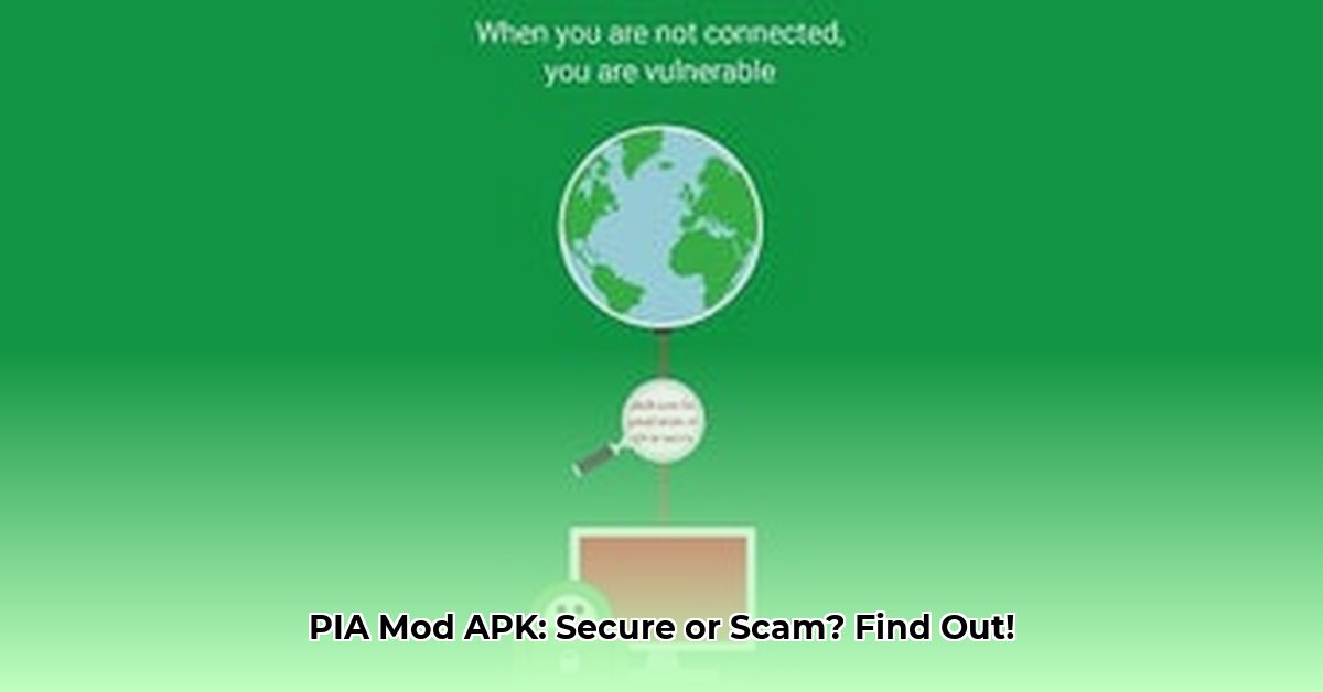 private-internet-access-mod-apk